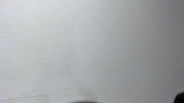 Siena_fox webcam