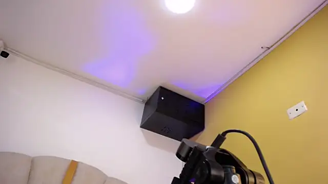 Gingerblis webcam