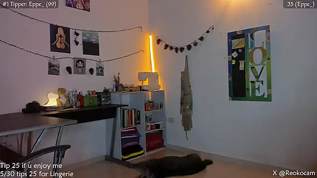 Reoko0 webcam