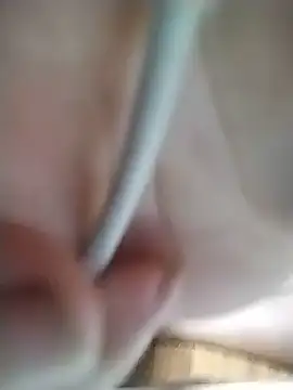 -Felicity_ webcam