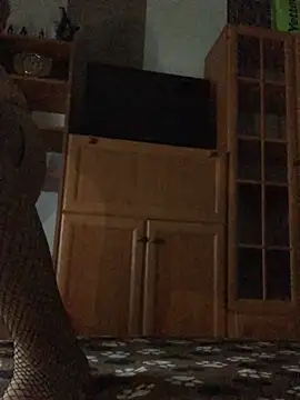 AnitaCat webcam