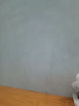 camri-zz webcam