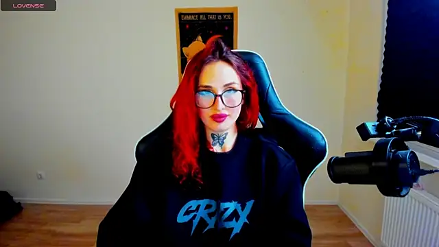your_tora webcam