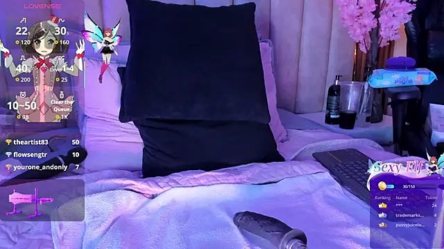 LizSheibaum webcam
