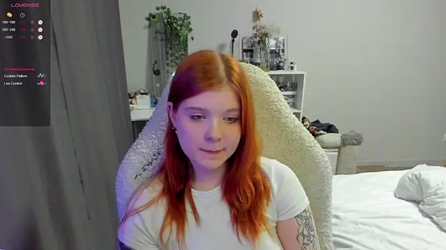 ttq__ webcam