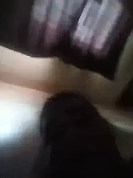 deshilnd webcam