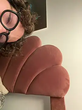 hardmecl webcam