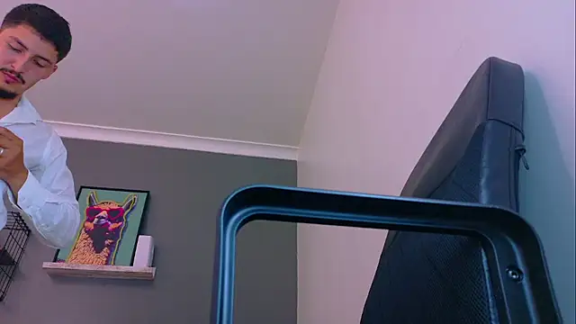 MrFox__ webcam