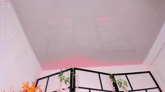 Hanna_naoo_ webcam