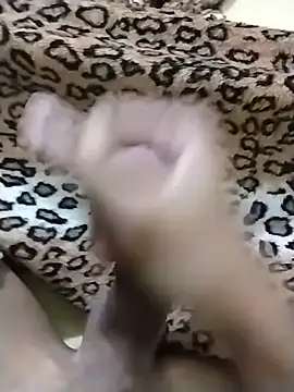 Novinhoie webcam