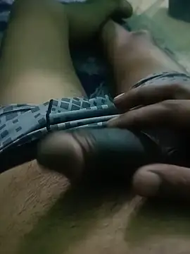 Raajaaryan webcam