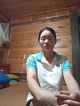 Td3di webcam
