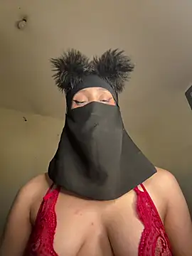 arabayla webcam