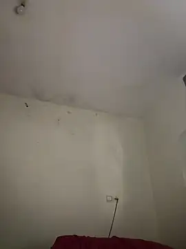 arabayla webcam