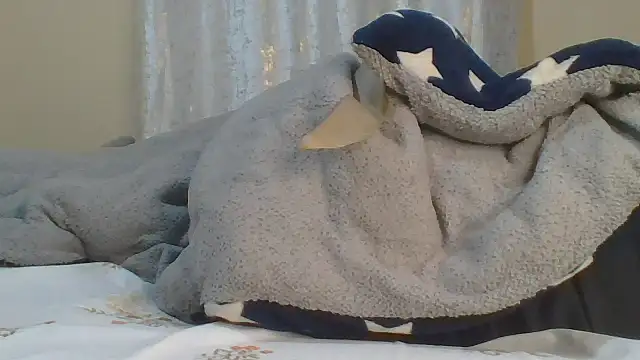 ndivhuwomuleya webcam