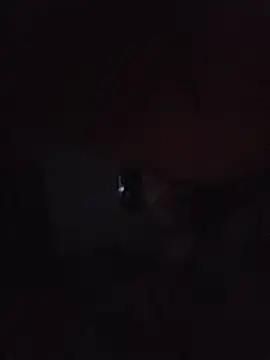 Nidge251 webcam