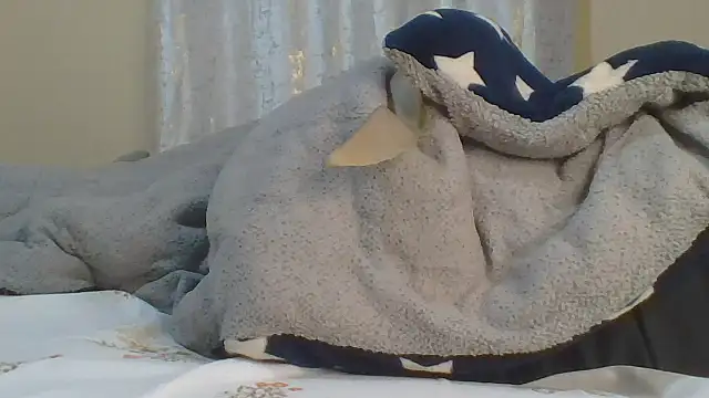 ndivhuwomuleya webcam