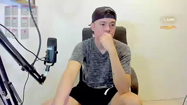 clarkdangerous webcam