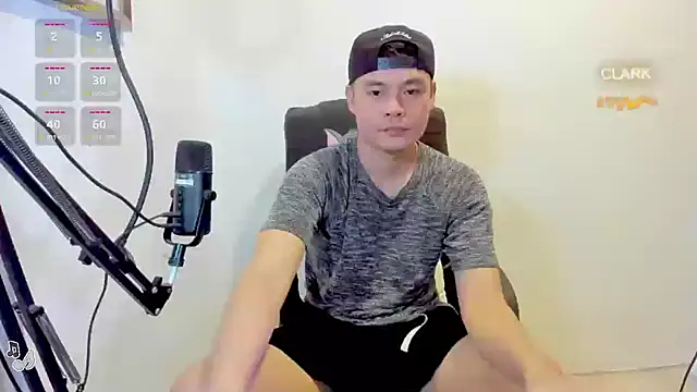 clarkdangerous webcam
