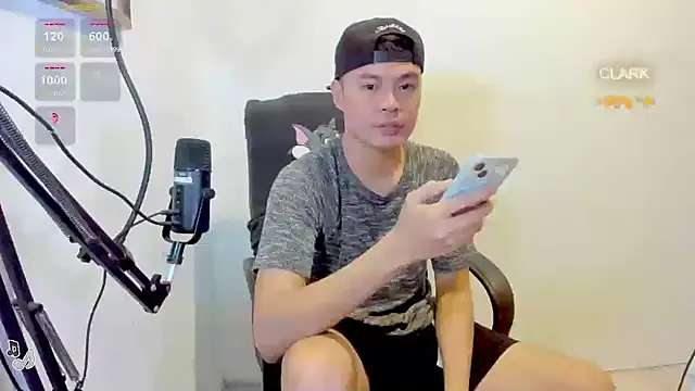 clarkdangerous webcam