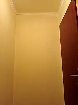 Sarafemboyy webcam
