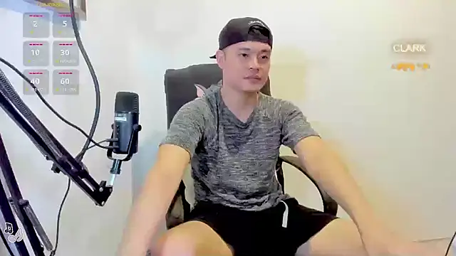 clarkdangerous webcam