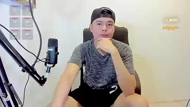 clarkdangerous webcam