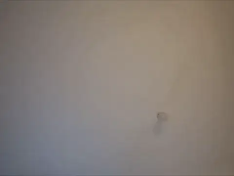 freshmanxxl98 webcam