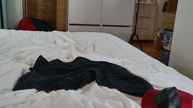 wild41 webcam