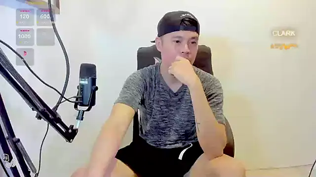 clarkdangerous webcam