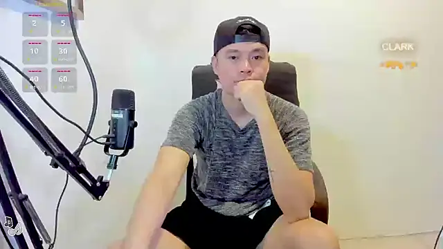 clarkdangerous webcam