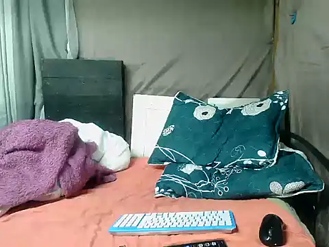 Camodick webcam