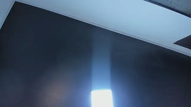 Zoee_js webcam