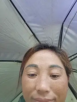 seacyre webcam