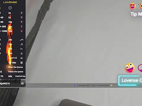 Miguel_angeel_ webcam