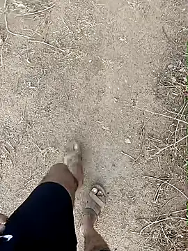 Forest_lover24 webcam
