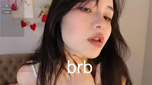 Noiry_Vuvez webcam
