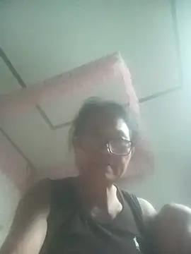 Vieekee webcam