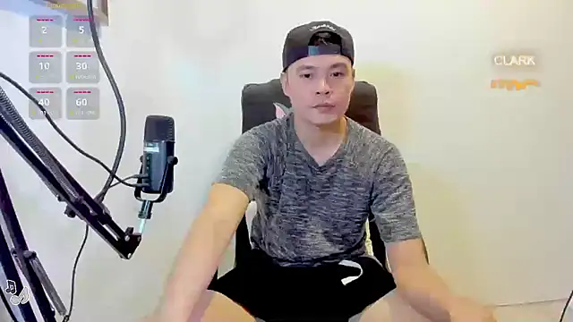 clarkdangerous webcam