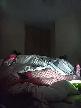 Nidge251 webcam