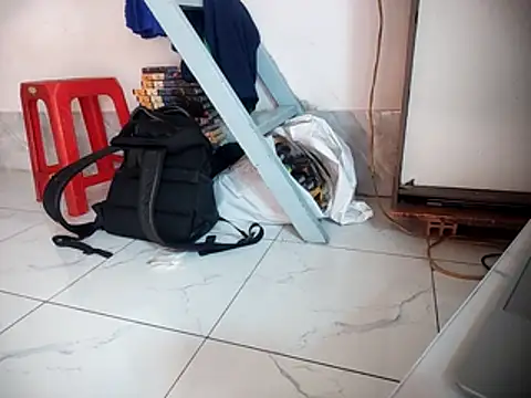 Palatable69-VN webcam