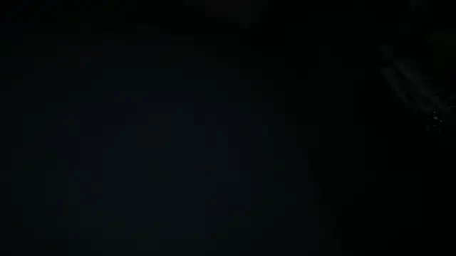 icebergslim281 webcam