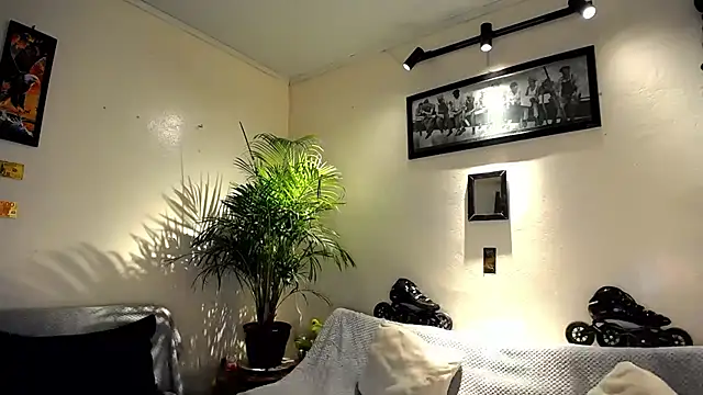 tiancam webcam