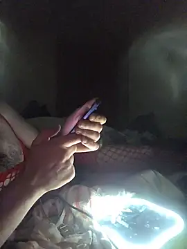 Nidge251 webcam
