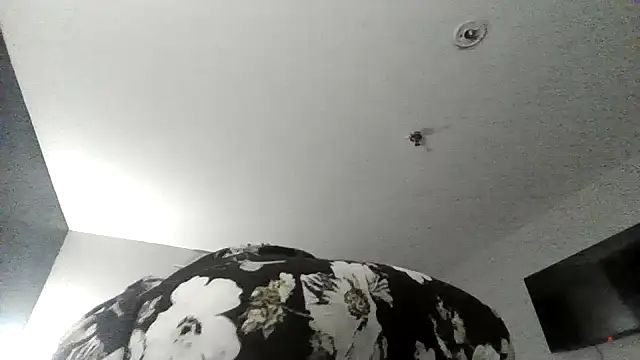Lovemcurvy69 webcam