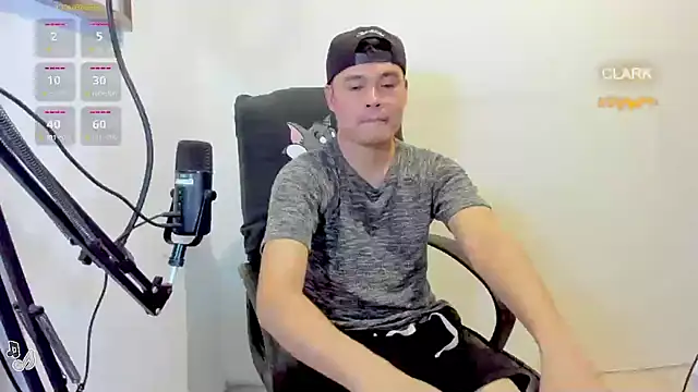 clarkdangerous webcam
