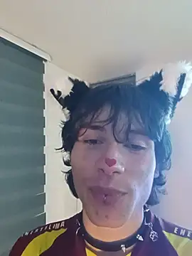 LittleTymmy webcam