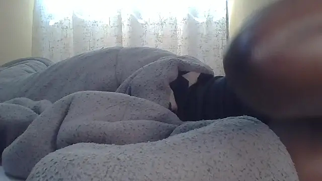 ndivhuwomuleya webcam