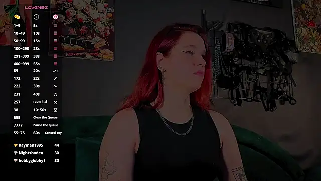 Serve_to_Alexa webcam