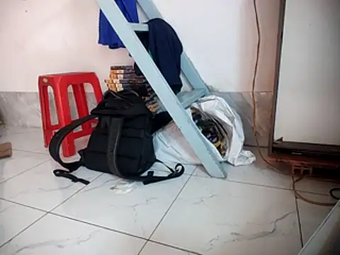 Palatable69-VN webcam